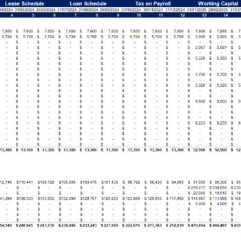 Packaging and Labeling Services Financial Model_Working Sheet