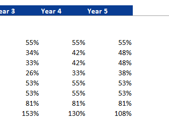 Buffet Restaurant Financial Model Excel Template-Financial Ratios