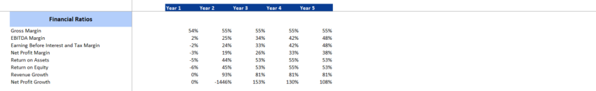 Buffet Restaurant Financial Model Excel Template-Financial Ratios