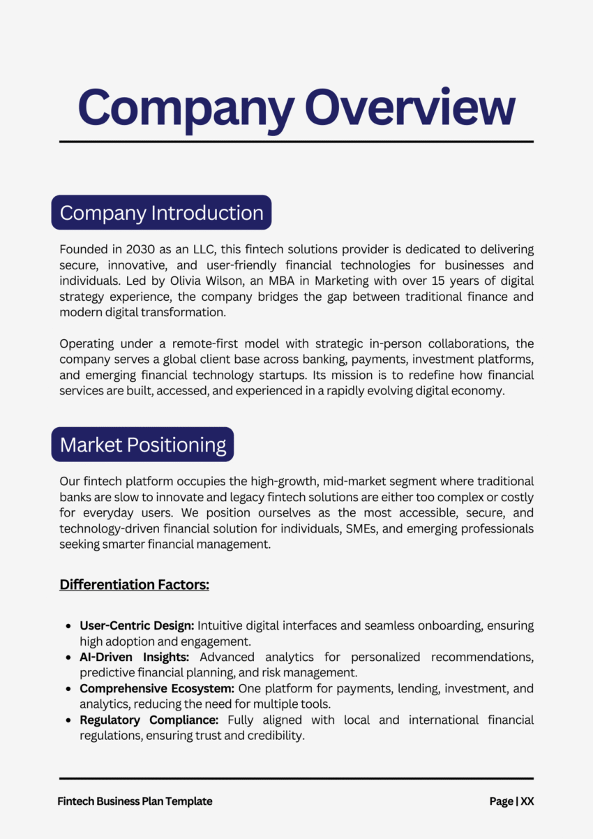 Fintech Business Plan Template - Company Overview