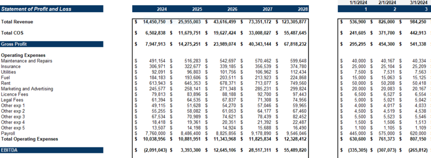 Marinas Excel Financial Model Projection Template- Income statement