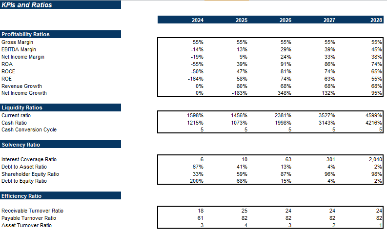Marinas Excel Financial Model Projection Template- KPIs and Ratios