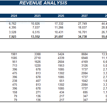 Marinas Excel Financial Model Projection Template- Revenue Analysis
