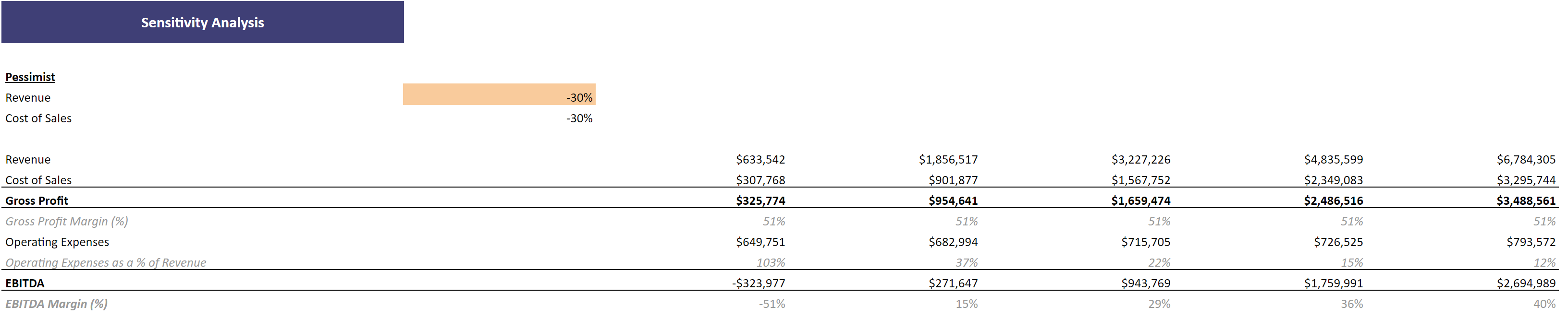 Meal Subscription Plan Excel Financial Model Projection Template-Sensitivity Analysis