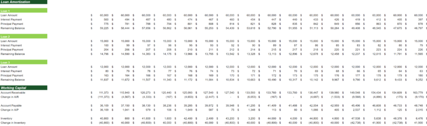 Physician Consultation Services Excel Financial Model Projection Template-Loan Amortization