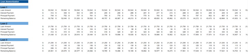 Professional and Management Development Training Excel Financial Model-Loan Amortization Schedule