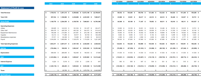 Professional and Management Development Training Excel Financial Model-Profit and Loss Statement