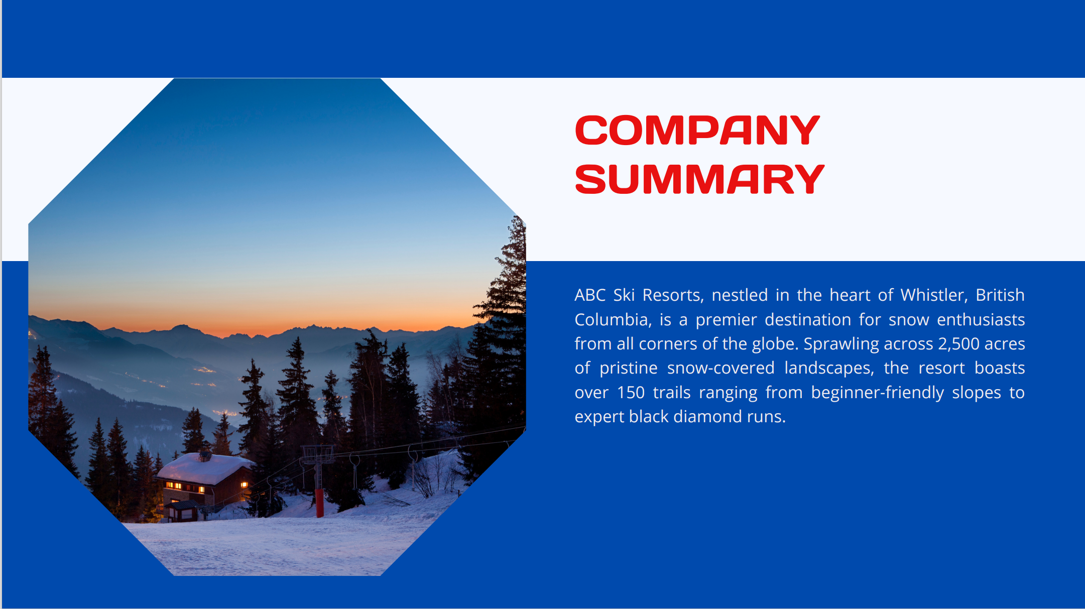 Ski Resort Pitch Deck Template-Company Summary