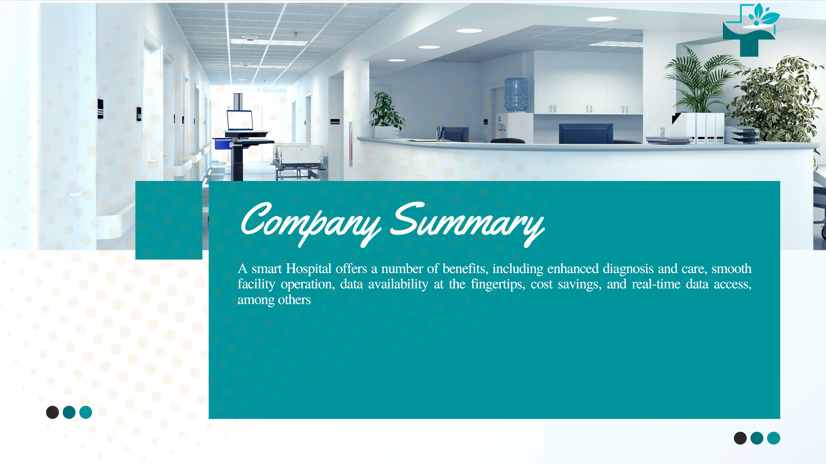 Smart Hospital Pitch Deck-Company Summary
