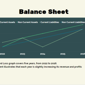 Thrift Store Pitch Deck Template-Balance Sheet