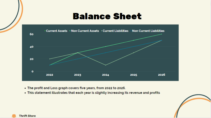 Thrift Store Pitch Deck Template-Balance Sheet