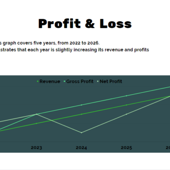 Thrift Store Pitch Deck Template-Profit and Loss