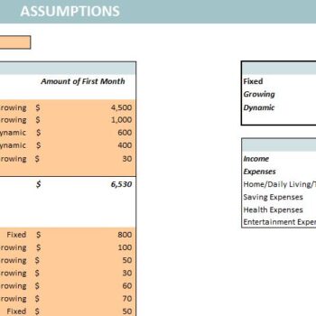 Yearly Budget Planner Template- Assumptions