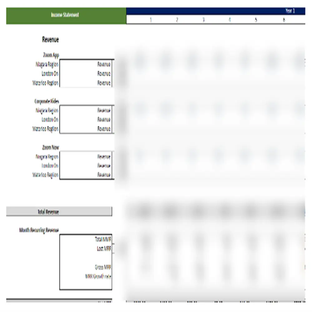 ride-hailing income statement
