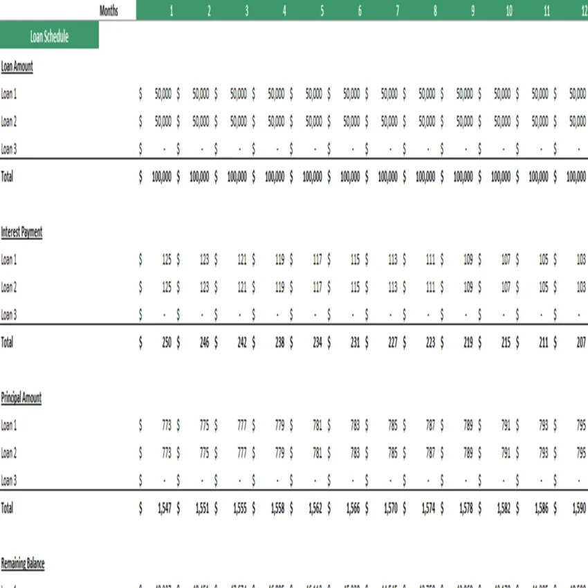 Bean Farming Financial Model Excel Projection Template - Loan Schedule