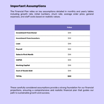 Fintech B2B Business Plan Template - Financial Plan