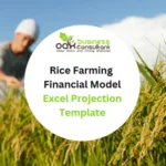 Rice Farming Financial Model Excel Projection Template-Product Image