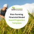 Rice Farming Financial Model Excel Projection Template-Product Image