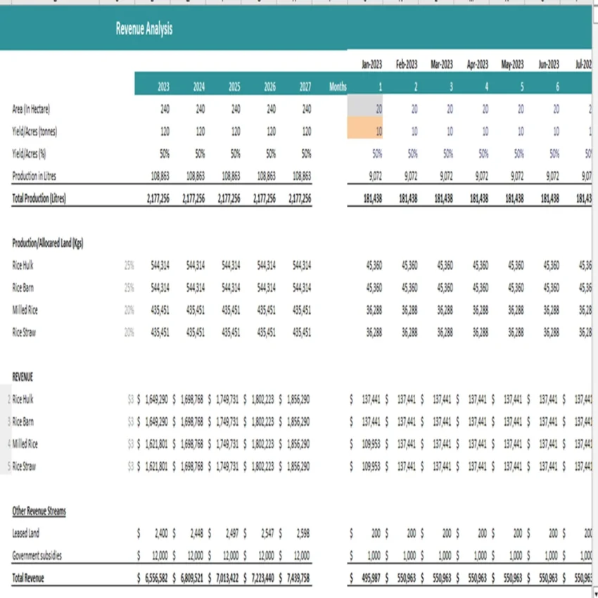 Rice farming financial model excel projection template - revenue analysis