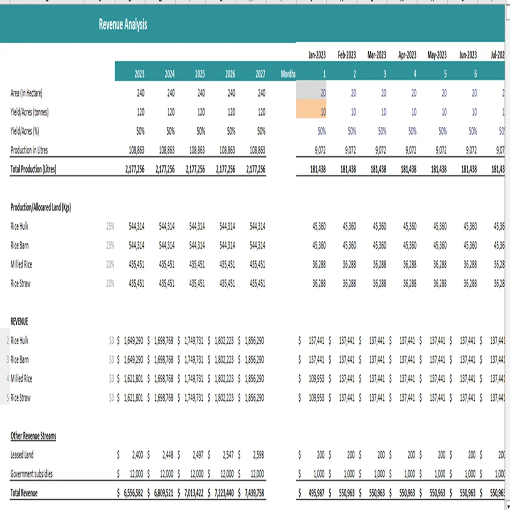 Rice farming financial model excel projection template - revenue analysis
