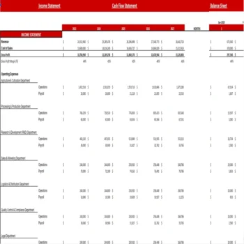 Strawberry Farming Excel Financial Model Projection Template-Financial Statement