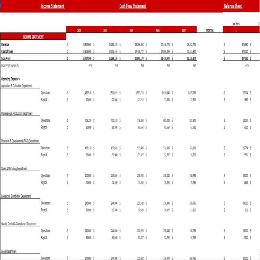 Strawberry Farming Excel Financial Model Projection Template-Financial Statement
