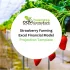 Strawberry Farming Excel Financial Model Projection Template-Product Image