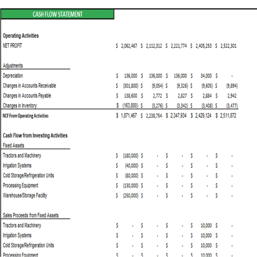 Watermelon Farming Excel Financial Model Projection Template - Cash Flow Statement Projection
