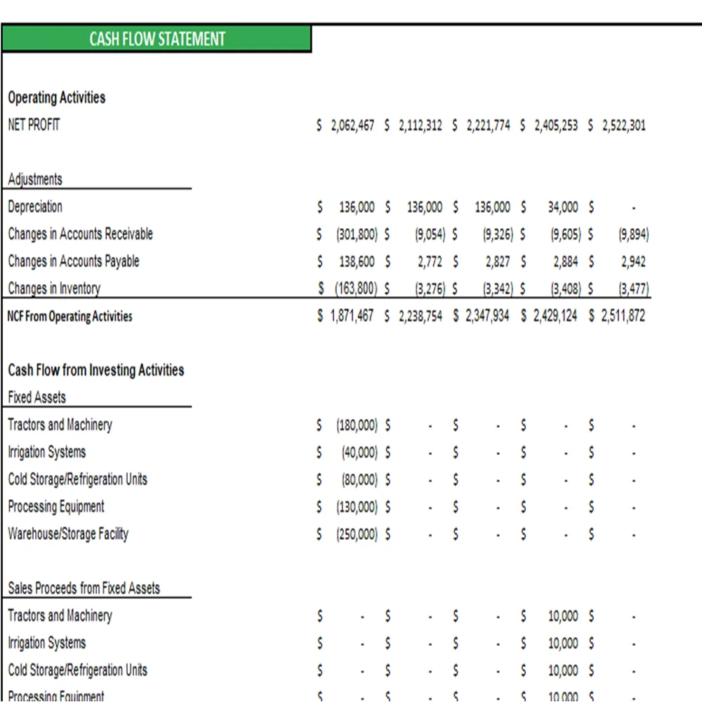 Watermelon Farming Excel Financial Model Projection Template - Cash Flow Statement Projection