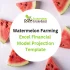 Watermelon Farming Excel Financial Model Projection Template - PRODUCT IMAGE