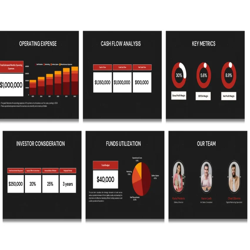 Art Gallery Pitch deck template - Cash Flow Analysis- FI