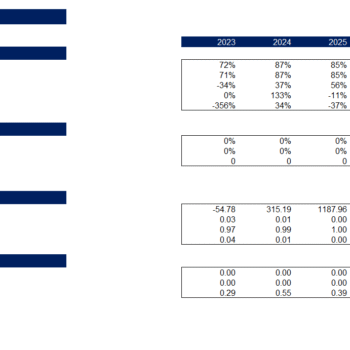 Soccer Club Acquisition Financial Model Template - Financial Ratios