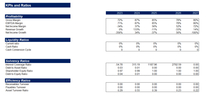 Soccer Club Acquisition Financial Model Template - Financial Ratios