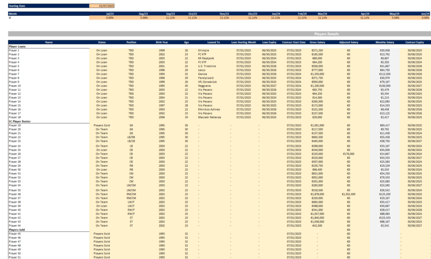 Soccer Club Acquisition Financial Model Template - Input Sheet