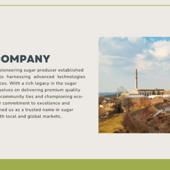 Sugar Mill Pitch Deck Template - About The Company