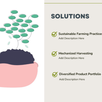 Sugar Mill Pitch Deck Template - Solutions