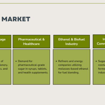 Sugar Mill Pitch Deck Template - Target Market