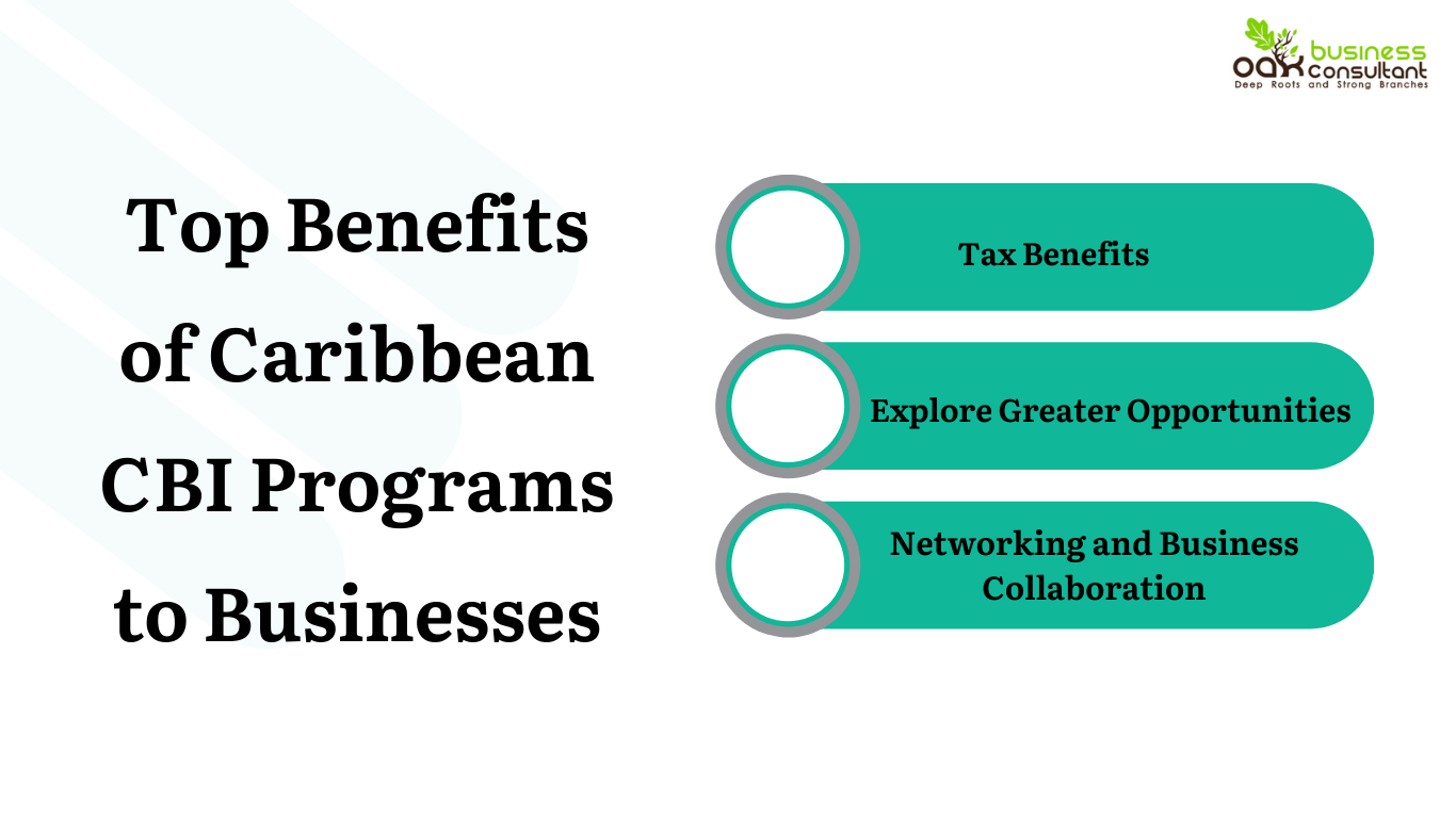 Top Benefits of Caribbean CBI Programs to Businesses