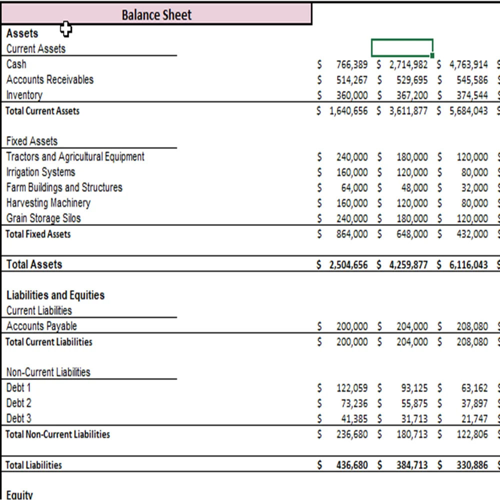 Wheat Farming Excel Financial Model Projection Template - Balance Sheet Projection