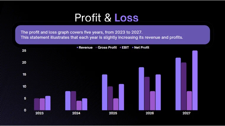 Data Analytics Software Pitch Deck - Profit and Loss