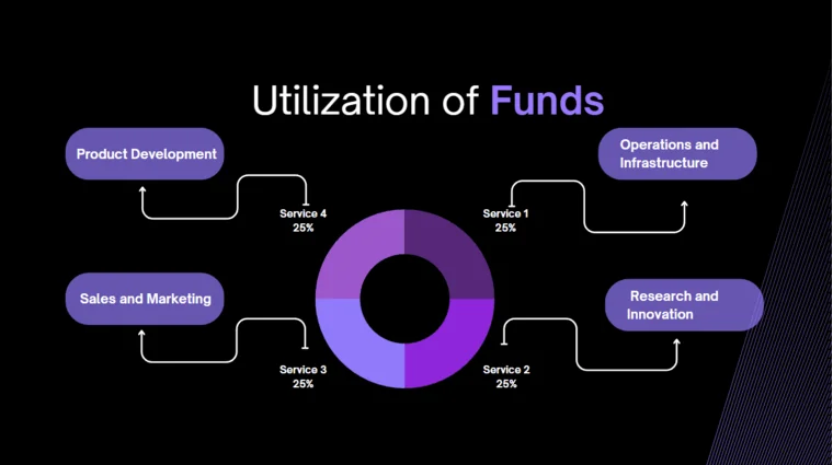 Data Analytics Software Pitch Deck - Utilization of Funds