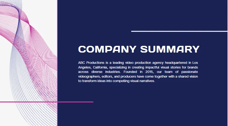 Video Production Agency - Company Summary
