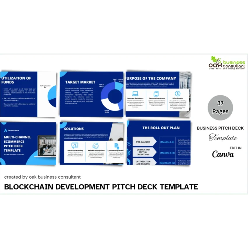 Multichannel E-Commerce Pitch Deck - Company Summary - FI