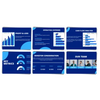 Multichannel E-Commerce Pitch Deck - Profit and Loss - FI