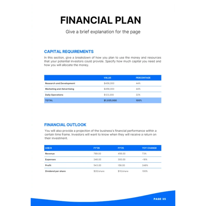 Online Payment Gateway Business Plan - Financial Plan