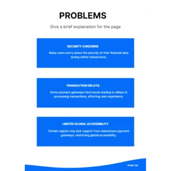Online Payment Gateway Business Plan - Problems