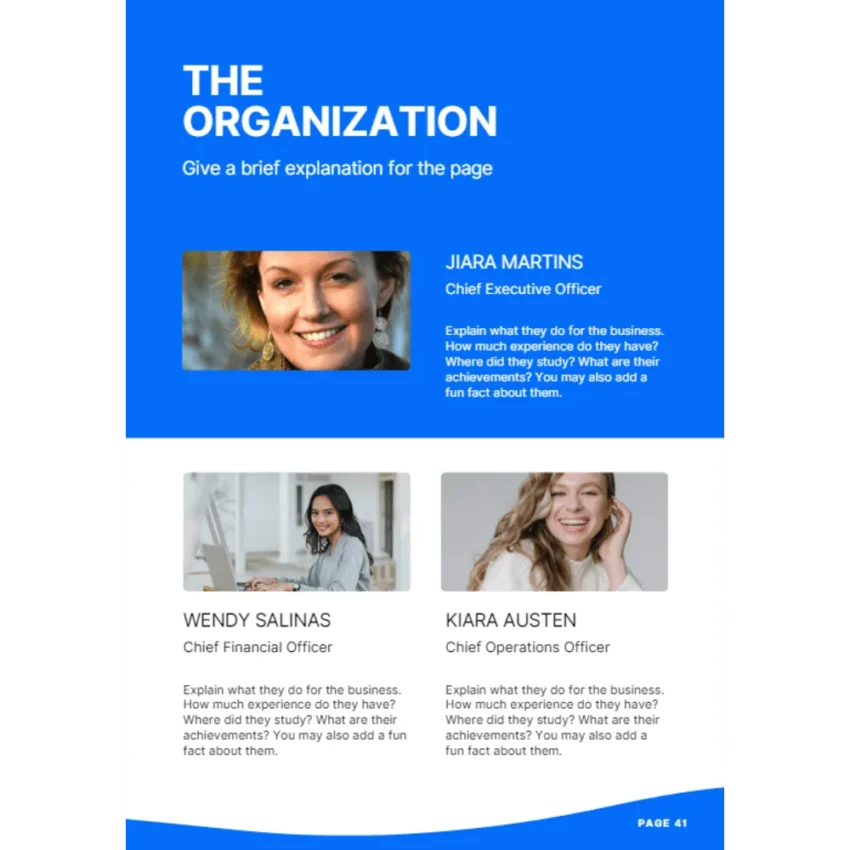 Online Payment Gateway Business Plan - The Organization