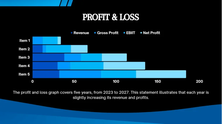 Online Payment Gateway Pitch Deck - Profit and Loss