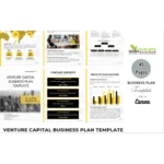 Venture Capital Business Plan - Product Image