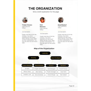 Venture Capital Business Plan - The Organization